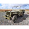 JEEP WILLYS 241679